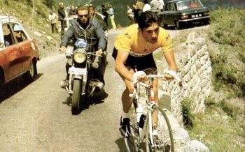 merckx-yellow jersey.jpg