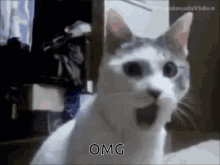 tenor_gif5342406007644444524.gif1685992204076_7071563845526585526.gif