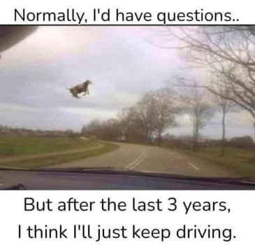 1706912020617.jpeg